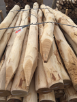 robinia_ronde_palen