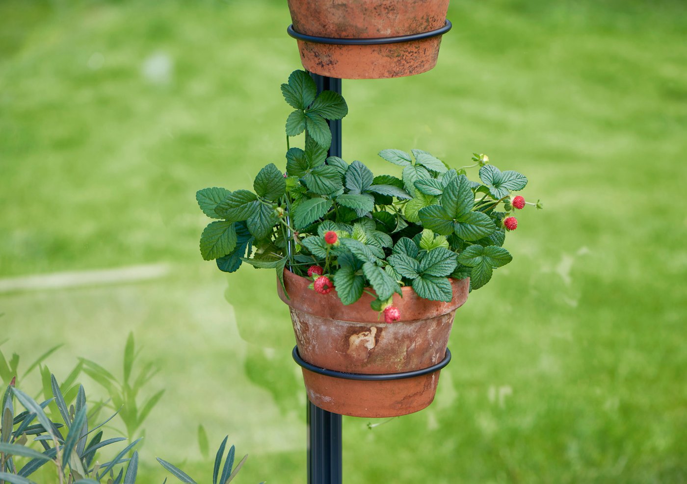 royal_well_pothouder_voor_tuinkas_bloempot
