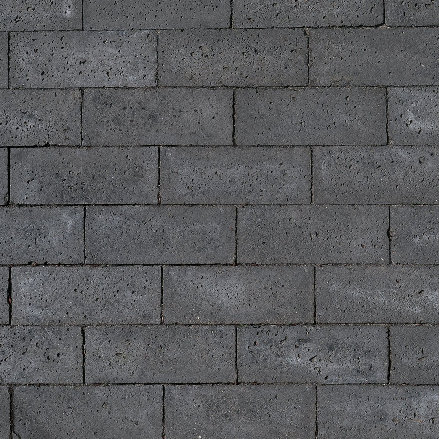 schellevis_oud_hollandse_dikformaat_21x7x8cm_carbon_gardenlux