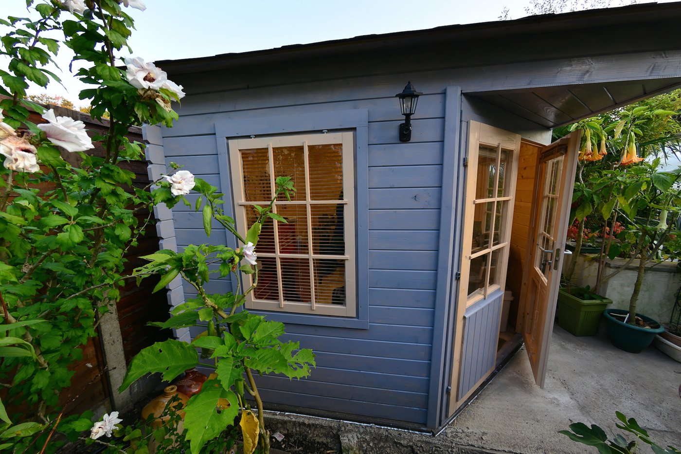 sf_Asmund_Corner_Cabin_01