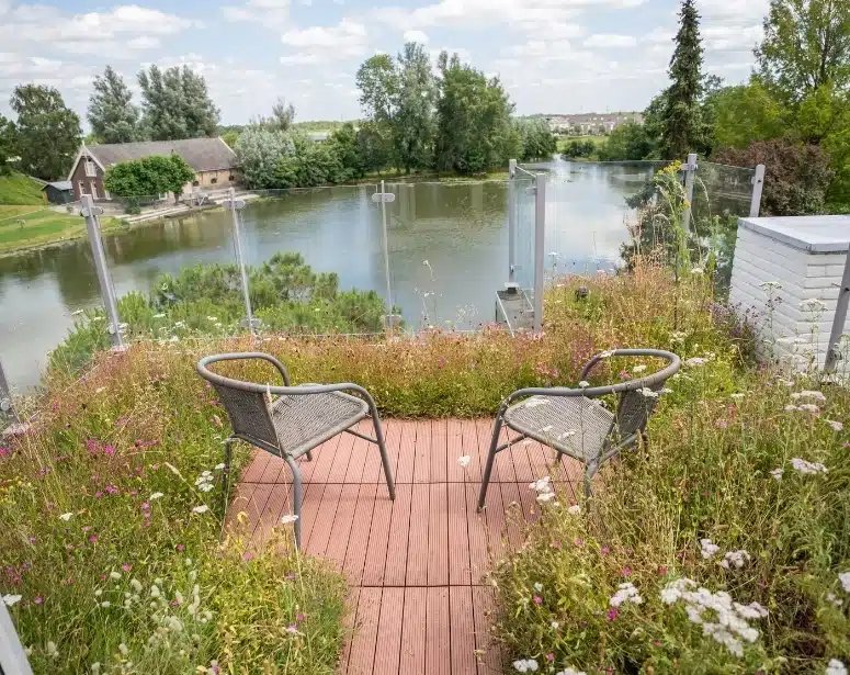 sf_Kruiden_sedumdak3