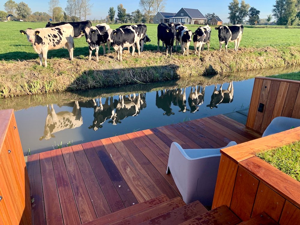 sf_Vlonder_van_Bankirai_hardhout