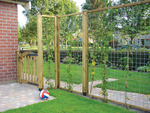 stalen_trellis_in_houten_lijst