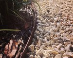 straightcurve_flexible_01