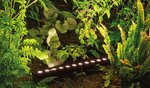 sus_line_500_wandlamp_led_sfeer