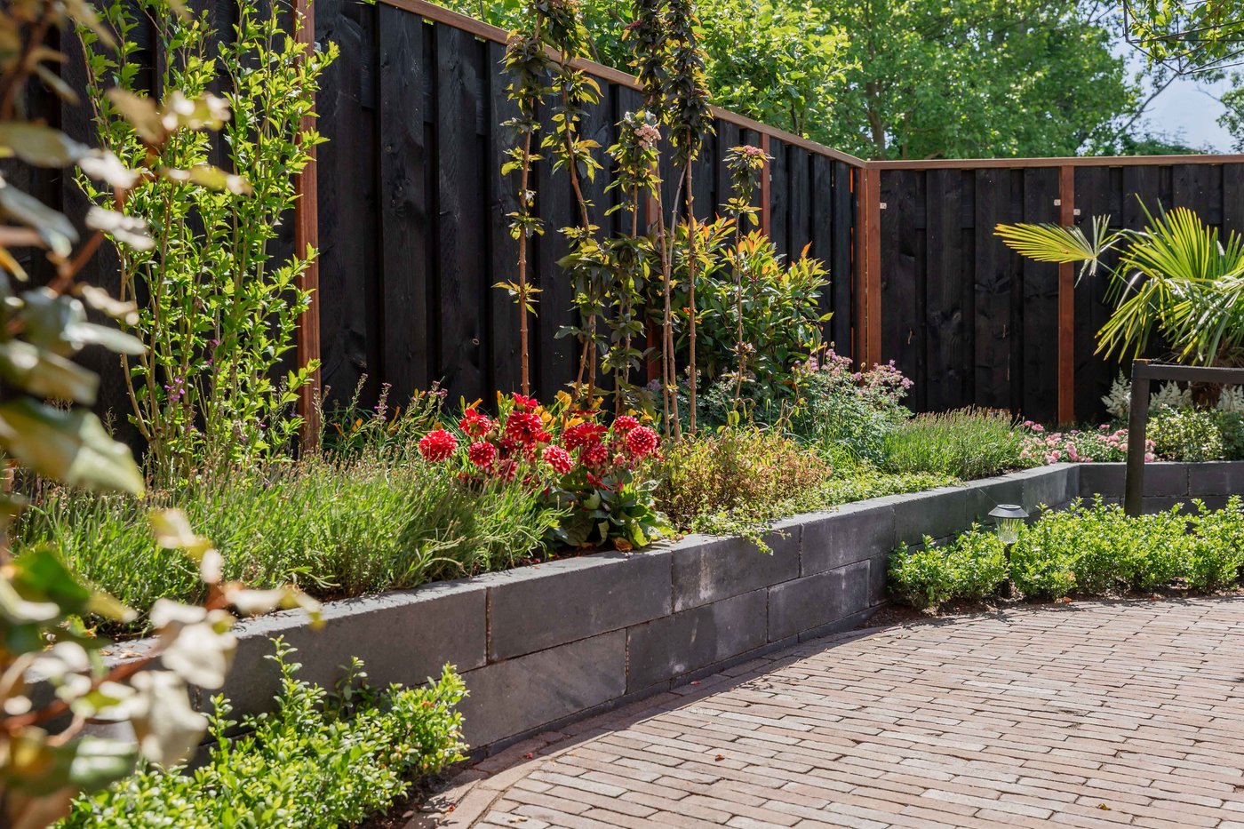 tegula_palissaden_60x14x11cm_zwart_gardenlux
