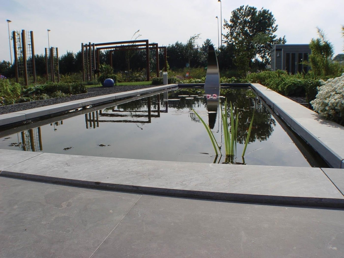 tuin_met_siam_blue_vijverrand