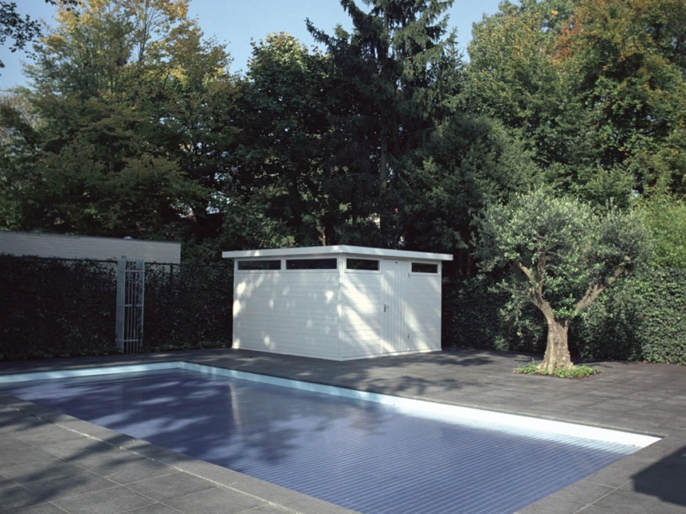 tuin_met_siam_blue_vijverrand1