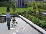 tuin_met_siam_blue_vijverrand5