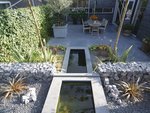 tuin_met_siam_blue_vijverrand4