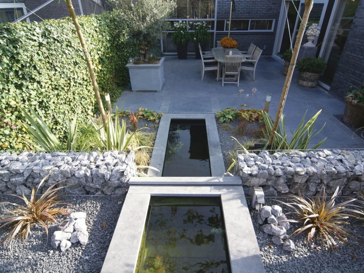 tuin_met_siam_blue_vijverrand4