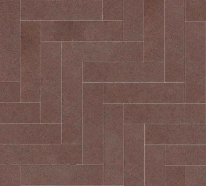 waalformaat_exclukera_excluton_20x5x7cm_rood_zwart_hoofd