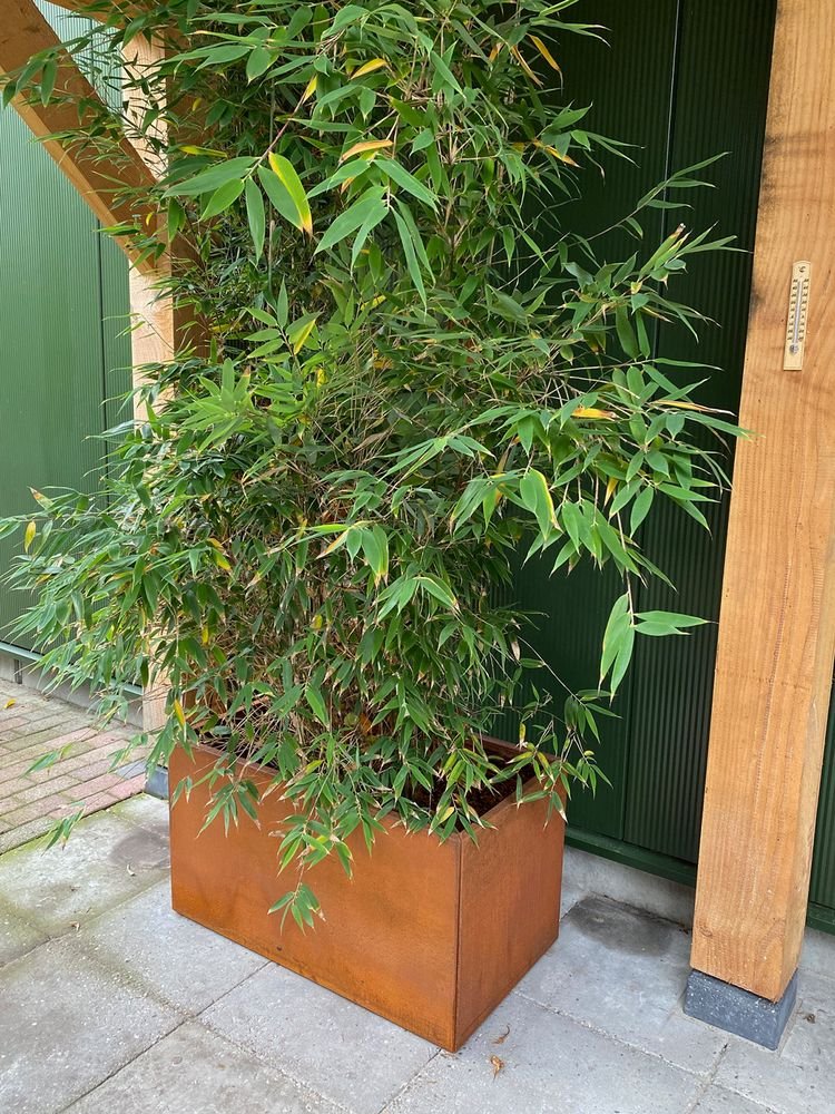 wovar_cortenstaal_plantenbak_50_x_90_x_50_cm_bloembak_rechthoek_1