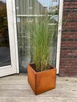 wovar_cortenstaal_plantenbak_50_x_50_x_50_cm_bloembak_1