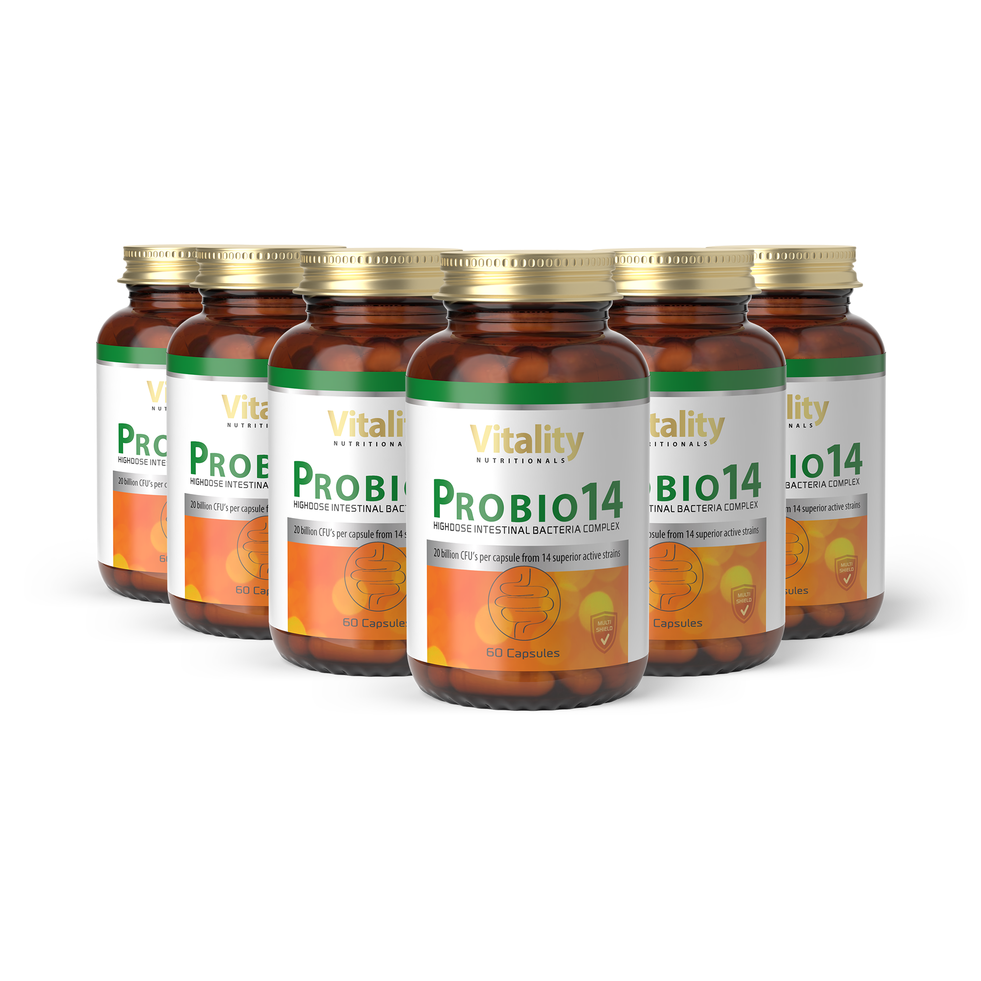 Probio14 x 6 - 12 Months of Daily Gut Support
