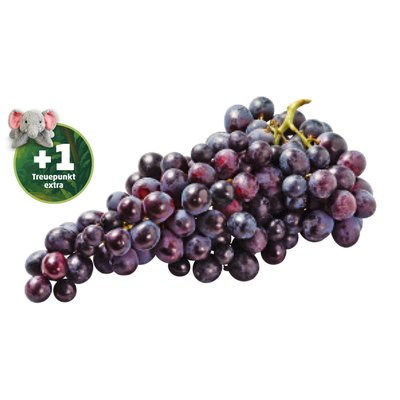 Image of Trauben rot, kernlos