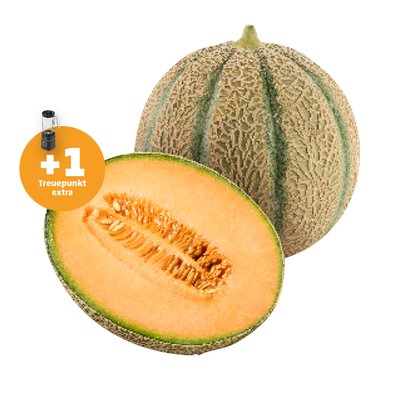 Image of Zuckermelone