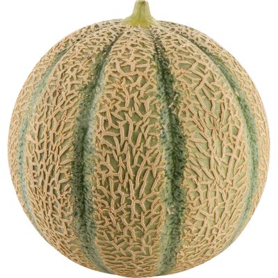 Image of Zuckermelone