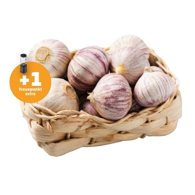 Image of Knollenknoblauch