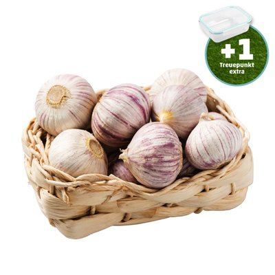 Image of Knollenknoblauch