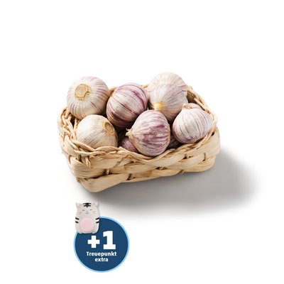 Image of Knollenknoblauch