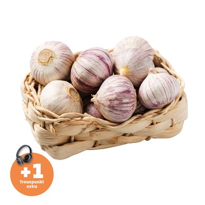 Image of Knollenknoblauch
