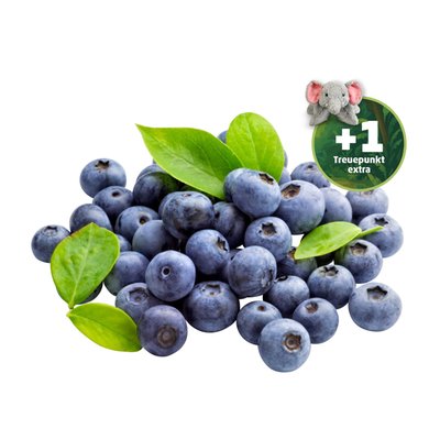 Image of Heidelbeeren