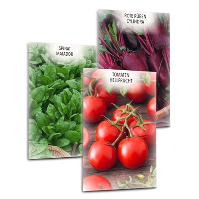 Image of Blumen- od. Gemüsesamen*