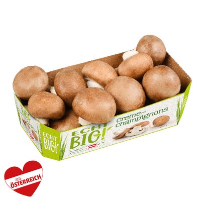 Image of ECHT BIO! Creme-Champignons
