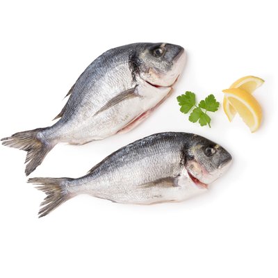 Image of Goldbrasse*