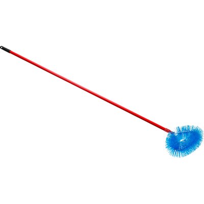 Image of Spinnenbesen*