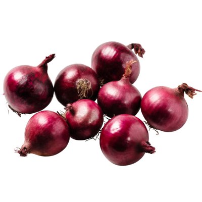 Image of Ich bin Österreich Zwiebel rot