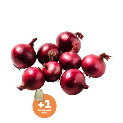 Image of Zwiebeln Rot