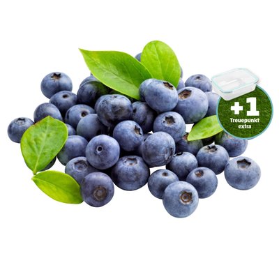 Image of Heidelbeeren