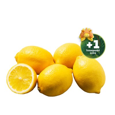 Image of ECHT BIO! Zitronen