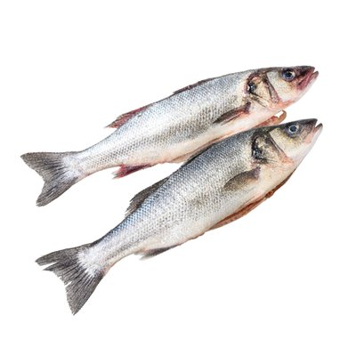 Image of Frischer Wolfsbarsch*