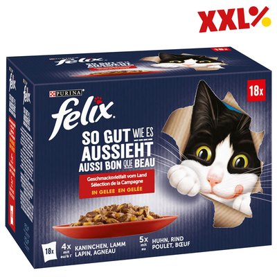 Image of Felix Nassfutter