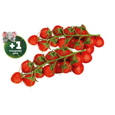 Image of Ich bin Österreich Cherrytomaten