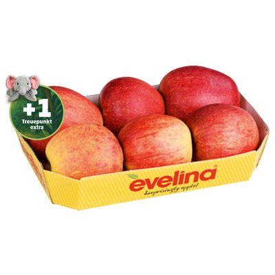 Image of Evelina Apfeltasse