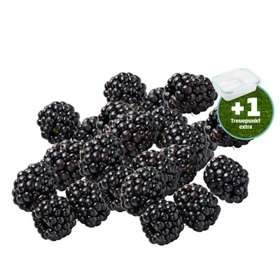 Image of Brombeeren