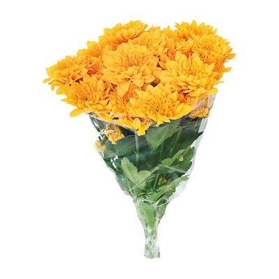 Image of Chrysanthemen im Bund