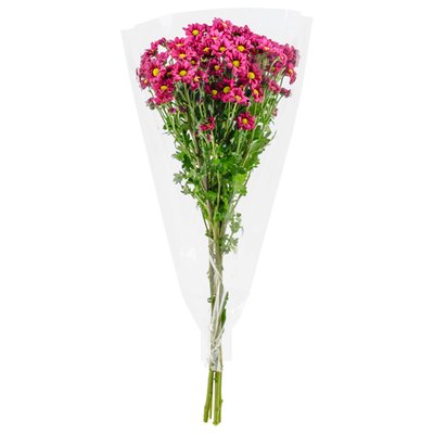 Image of Chrysanthemen im Bund