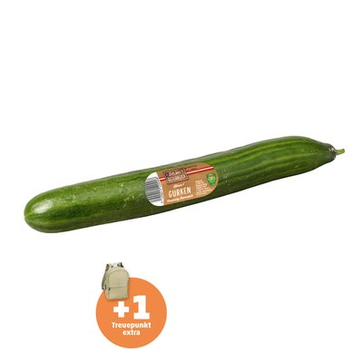 Image of Gurke