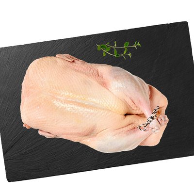 Image of Frische Ente*