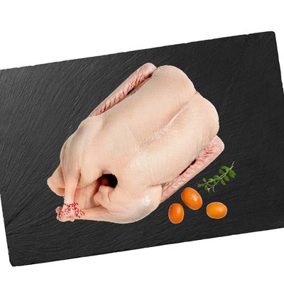 Image of Gans* bratfertig