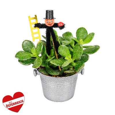 Image of Mini-Geldbaum im Sektkühler*