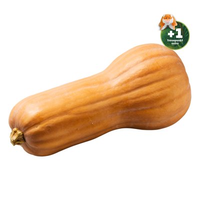 Image of Ich bin Österreich Butternuss-Kürbis