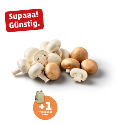 Image of Champignons weiss od. braun