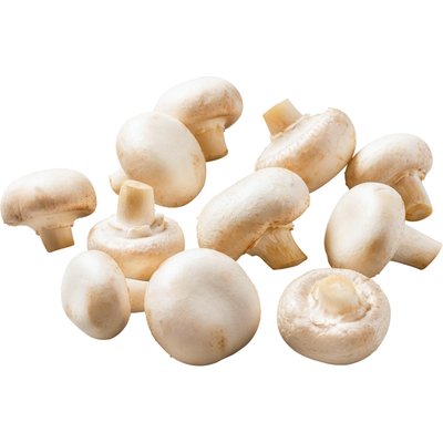 Image of Champignons Weiss