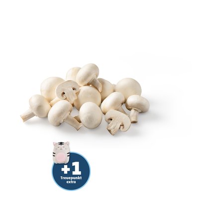 Image of Champignons weiss